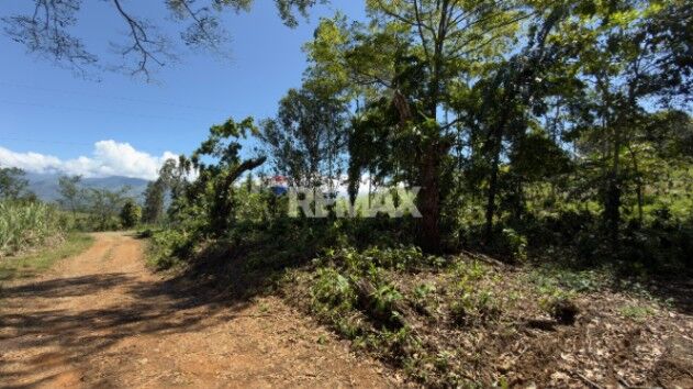 LOTE EN VENTA EN LAS MERCEDES DE CAJÓN, PÉREZ ZELEDÓN – 10,718 m² CON VISTA Y ÁRBOLES FRUTALES en Cajón, Pérez Zeledón, San José — $70,000
