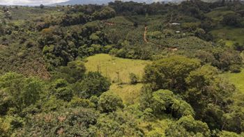 VENTA DE FINCA DE 8.1 HA CON DOS CASAS Y FRENTE DE RIO EN LAS MESAS, PEREZ ZELEDON en Cajón, Pérez Zeledón, San José — $249,999 - Foto 2 de 17
