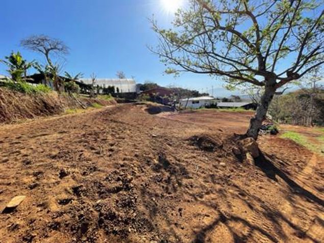Finca en funcionamiento de 38.334m2 con casa y cuadras en Atenas, Alajuela — $545,000