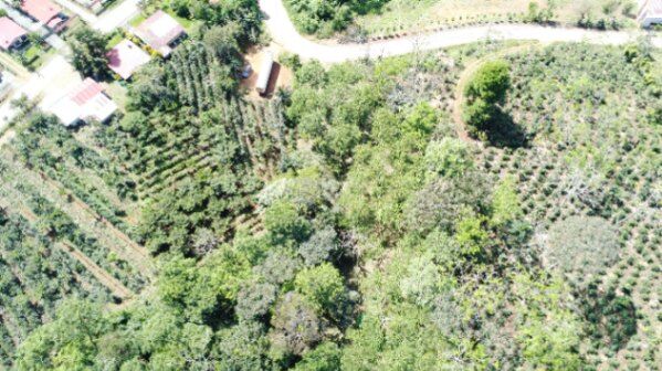 Quinta de 1.2 hectares en Quizarra, Cajon en Cajón, Pérez Zeledón, San José — $135,000