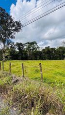 🌿 Lotes en venta en Calle Tablón, Guápiles en Guápiles, Pococí, Limón — 37 750 000 ₡ - Foto 5 de 10