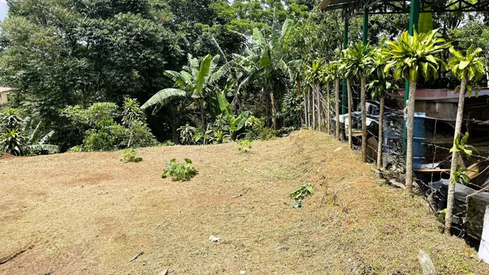 SE VENDE LOTE EN ZARAGOZA, PALMARES in Zaragoza, Palmares, Alajuela — $82,000 - Photo 2 of 10
