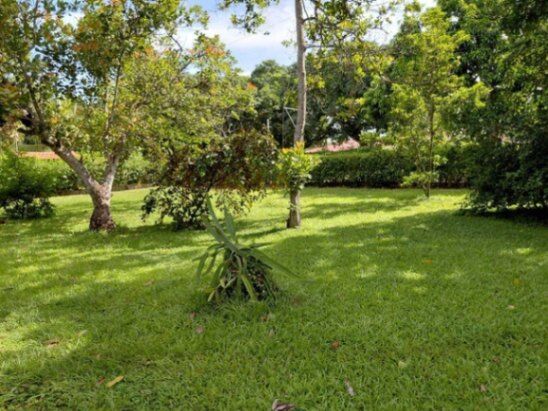 MLS-26-257 LS VENTA LOTE LA CEIBA OROTINA  in La Ceiba, Orotina, Alajuela — ₡ 30 000 000