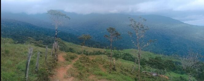 SE VENDE ESPECTACULAR FINCA EN BUENOS AIRES DE PUNTARENAS.  in Biolley, Buenos Aires, Puntarenas — $800,000