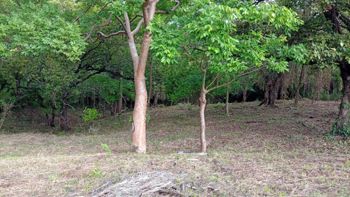Venta Lote en Guanacaste - Photo 2 of 3