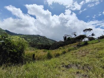 SE VENDE FINCA CERCA DEL RÍO CON POTENCIAL DE DESARROLLO in San Isidro De El General, Pérez Zeledón, San José — $113,000 - Photo 4 of 19