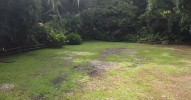 BELLÍSIMA PROPIEDAD EN ESTERILLOS ESTE, PUNTARENAS.  en Parrita, Puntarenas — $155,000