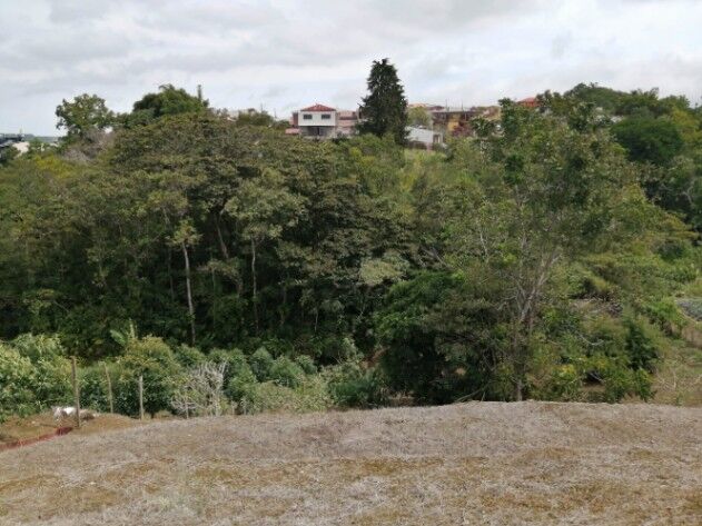 Lote en Mata de Plátano en Mata de Plátano, Goicoechea, San José — ₡ 72 000 000