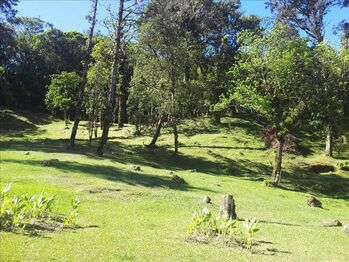 Farm For Sale Corralillo, Cartago, Cartago