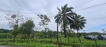 VENTA DE FINCA l SARAPIQUÍ, HEREDIA l PRECIO NEGOCIABLE. en La Virgen, Sarapiquí, Heredia — 197 500 000 ₡ - Foto 4 de 35