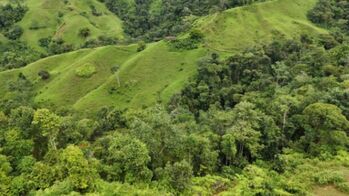 BEAUTIFUL LAND FOR SALE: 30 HECTARES IN BARÚ, PÉREZ ZELEDÓN WITH WATERFALL in Barú, Pérez Zeledón, San José — $250,000 - Photo 4 of 22