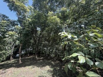 Se vende lote en San Pedro de Turrubares #26-329 en San Pedro, Turrubares, San José — $134,400 - Foto 4 de 10