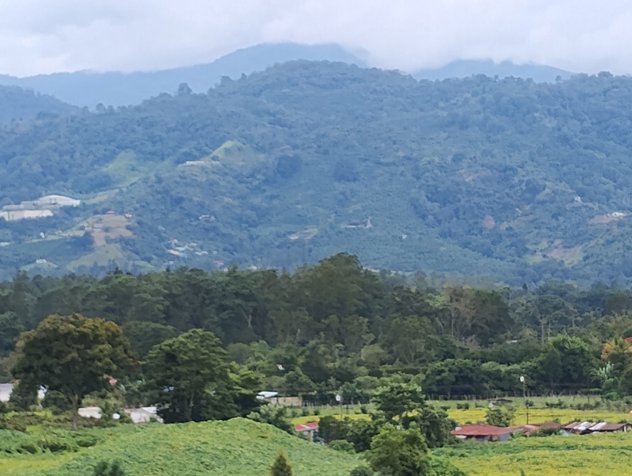 Venta de terreno..para quinta y agricultura in Santiago, Paraíso, Cartago — ₡ 95 000 000