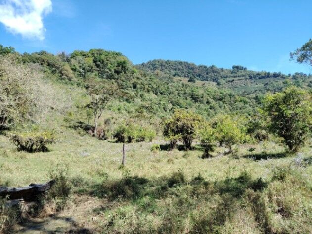 Venta Parcela en Providencia de Dota in Copey, Dota, San José — $250,000