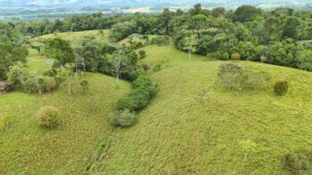 BEAUTIFUL LAND FOR SALE IN THE HEART OF SAN FRANCISCO DE CAJON, 96 ACRES in Cajón, Pérez Zeledón, San José — $900,000 - Photo 5 of 19