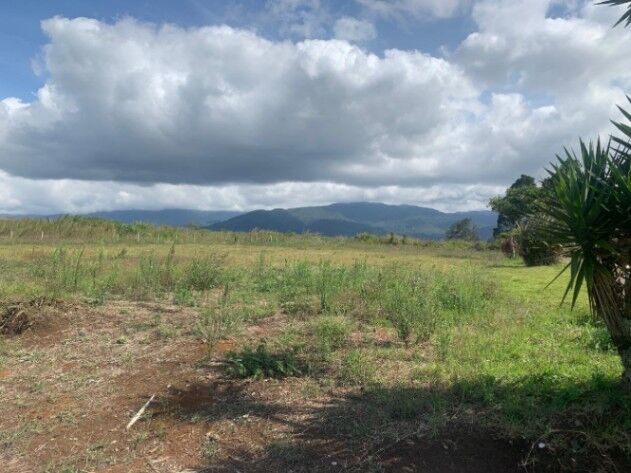 LOTE USO MIXTO CARTAGO CALLE CONCAVAS PARA DESARROLLO COMERCIAL O RESIDENCIAL en Dulce Nombre, Cartago — ₡ 185 000 000