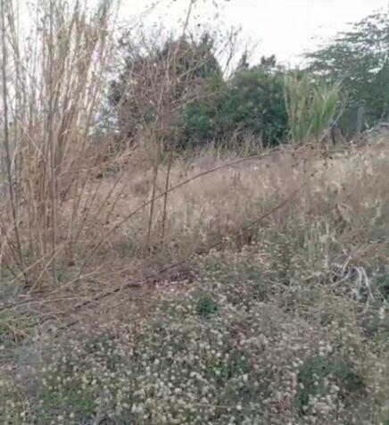 Venta de espacioso Lote en Atenas en Concepción, Atenas, Alajuela — ₡ 25 000 000