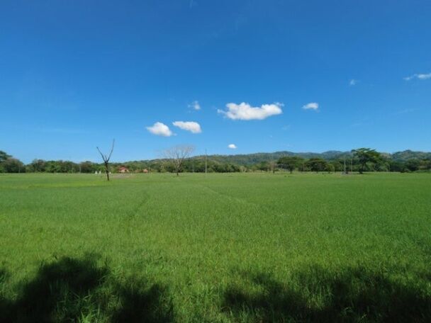 Venta de Lote en Garabito, Puntarenas.  in Jacó, Garabito, Puntarenas — ₡ 80 000 000