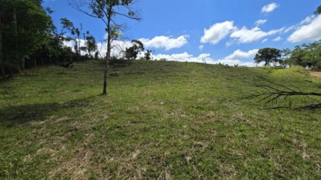 PRIME 1-HECTARE LOT FOR SALE WITH CREEK IN PUEBLO NUEVO DE CAJÓN in Cajón, Pérez Zeledón, San José — $90,000
