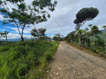 FINCA DE MÁS DE 2 HECTÁREAS CON VISTA AL VALLE, QUEBRADA Y ACCESO POR CALLE PÚBLICA EN MIRAFLORES in San Isidro De El General, Pérez Zeledón, San José — $225,000 - Photo 5 of 12