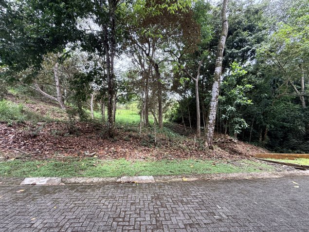 Exclusivo Lote en Comunidad Privada de Playa Costa Esterillos Estates in Parrita, Puntarenas — $175,000 - Photo 2 of 7