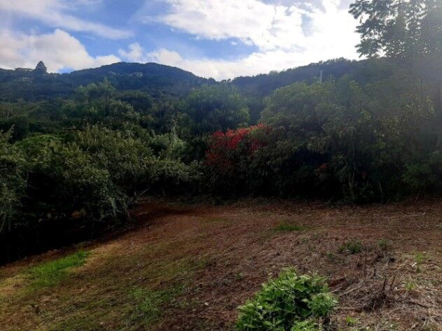 Venta de Lote en San Antonio de Escazú. RAH 25-1139 en San Antonio, Escazú, San José — $175,000