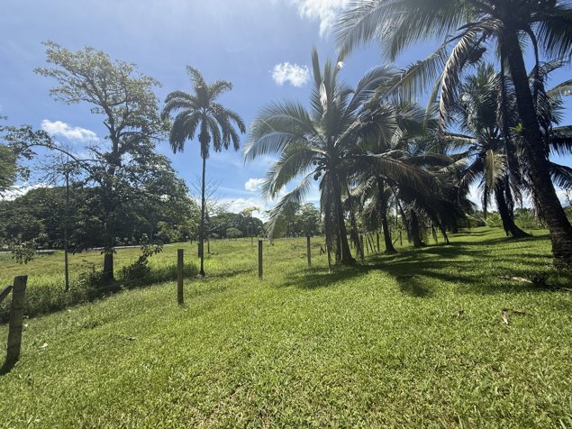 Venta de terreno en Las Horquetas de Sarapiquí. in Las Horquetas, Sarapiquí, Heredia — $172,379 - Photo 2 of 3