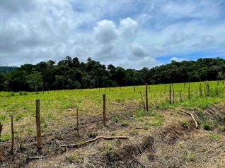 Terreno en Venta en Mata Palo, Quepos en Quepos, Puntarenas — $550,000 - Foto 5 de 8