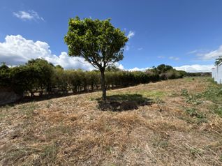 VENTA TERRENO 5618 M2, TOPOGRAFÍA PLANA, BELÉN, HEREDIA en La Ribera, Belén, Heredia — $1,150,000 - Foto 5 de 5