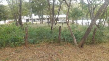 🌴 VENTA DE LOTE – Guanacaste, Santa Cruz en Santa Cruz, Guanacaste — 73 000 000 ₡ - Foto 4 de 11