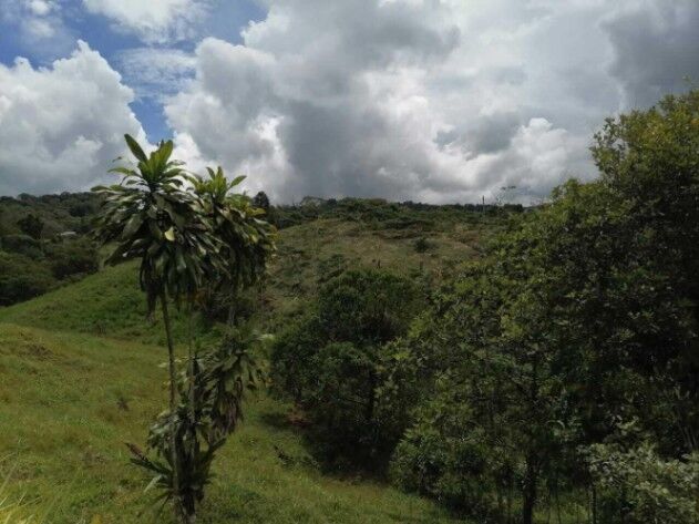 Venta de Lote en Pêrez Zeledôn, San José RAH 25-1904 in San Isidro De El General, Pérez Zeledón, San José — ₡ 125 000 000