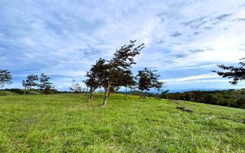Venta de Lote con Hermosas Vistas in Piedades Sur, San Ramón, Alajuela — 22 500 000 ₡ - Photo 3 of 7