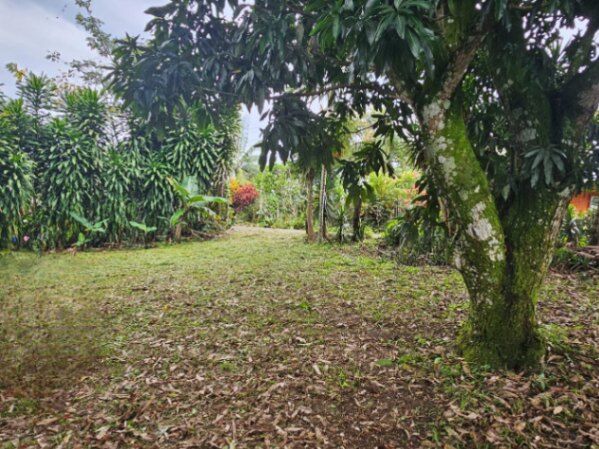 VENTA DE DOS LOTES, SAN JOSE, MORA, PICAGRES  in Picagres, Mora, San José — ₡ 40 000 000