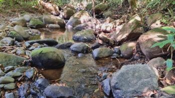 Finca en Venta Cajón, Pérez Zeledón, San José