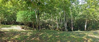 Venta de Lote en Tilarán-Chimurré, Guanacaste. RAH 27-345 en Tronadora, Tilarán, Guanacaste — 52 000 000 ₡ - Foto 5 de 10
