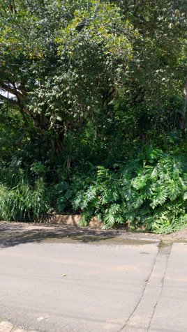 Large mixed use 22,346m2 lot close to the new and old highways in Atenas, Alajuela — $560,000 - Photo 2 of 5