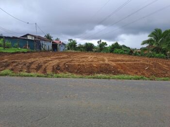 🌟 ¡Gran oportunidad en Aguas Zarcas! Lote de 1.129 m² en Aguas Zarcas, San Carlos, Alajuela — 36 000 000 ₡ - Foto 4 de 6