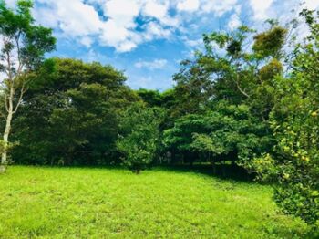 Lote paradisíaco en Ciudad Colón rodeado de naturaleza y paz total #26-1024 GS en Colón, Mora, San José — $425,000 - Foto 5 de 6