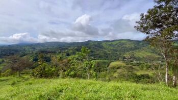 EN VENTA – 9.3 HECTÁREAS EN PLATANARES, PÉREZ ZELEDÓN, COSTA RICA en Platanares, Pérez Zeledón, San José — $156,999 - Foto 5 de 11