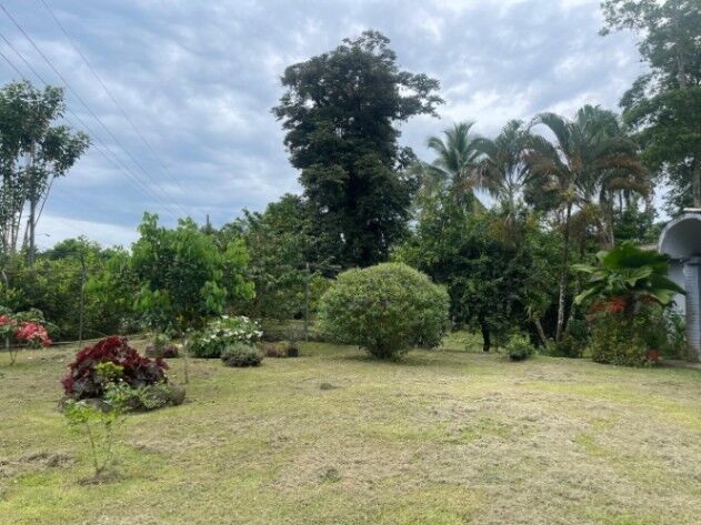 Propiedad a la venta en Roxana, Guápiles en Roxana, Pococí, Limón — ₡ 65 000 000