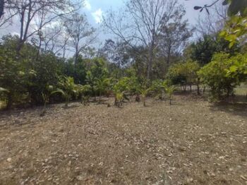Venta de Lote en Garabito, Puntarenas.  in Tárcoles, Garabito, Puntarenas — 39 000 000 ₡ - Photo 5 of 10