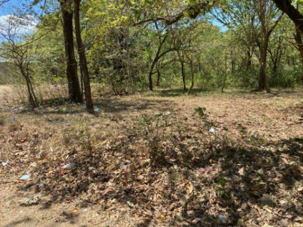 Terreno en Nosara, Guanacaste. in Nosara, Nicoya, Guanacaste — ₡ 110 000 000