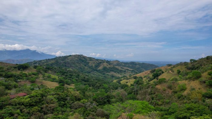 Hermosa propiedad de 50 acres adyacente a una piscina natural. in Desmonte, San Mateo, Alajuela — $600,000 - Photo 2 of 20