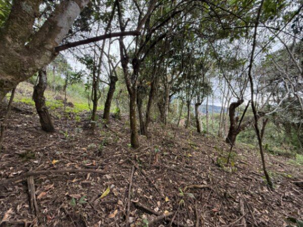 LOTE EN VENTA EN ALAJUELITA in San Josecito, San Rafael, Heredia — $155,000