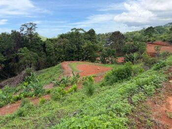 TERRENO DE 9.494 M2 CON 3 PLANTELES Y VISTA AL MAR EN VERGEL DE OSA in Puerto Cortés, Osa, Puntarenas — $530,000 - Photo 4 of 13