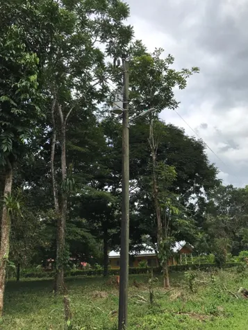 GANGA 9100 M2 para desarrollo Valle Azul Sn Ramon en San Ramón, Alajuela — ₡ 80 000 000
