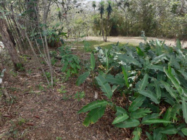 Venta de Lote en Mora, San José.  in Colón, Mora, San José — $56,426