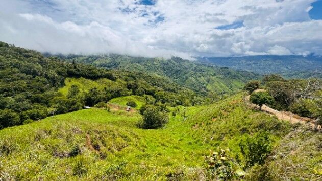 10 hectares de potrero y vista Alto de San Juan, Perez Zeledon en Barú, Pérez Zeledón, San José — $199,999