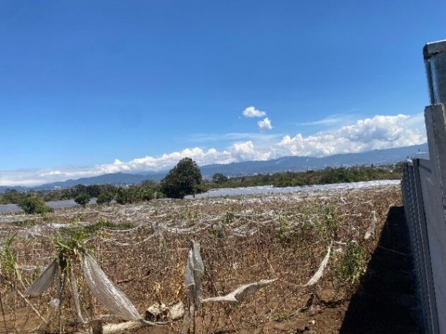 LOTE EN VENTA SAN ISIDRO HEREDIA en San Francisco, San Isidro, Heredia — ₡ 78 000 000