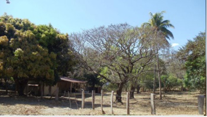 FINCA DE 398 HA EN LAS ALTURAS DE LIMONAL BAGACES en Bagaces, Guanacaste — $1,300,000 - Foto 3 de 9